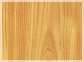 MasterFix  103045