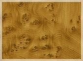 MasterFix  130045