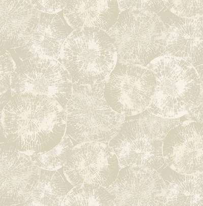 KT Exclusive Canvas OT71305
