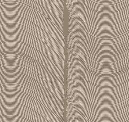 Loymina Equilibre BR4 002/2