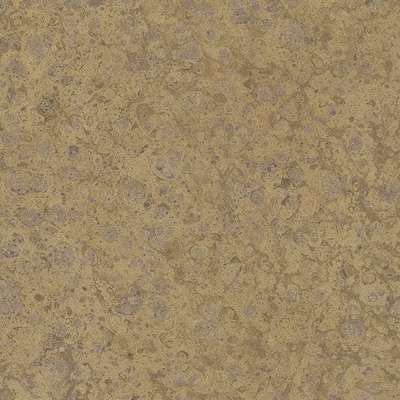 Marburg Platinum 31029