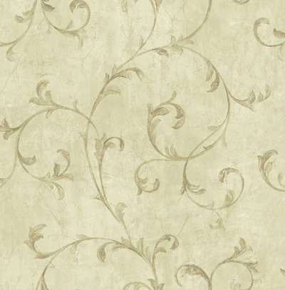 KT Exclusive Pompeii 90405OM