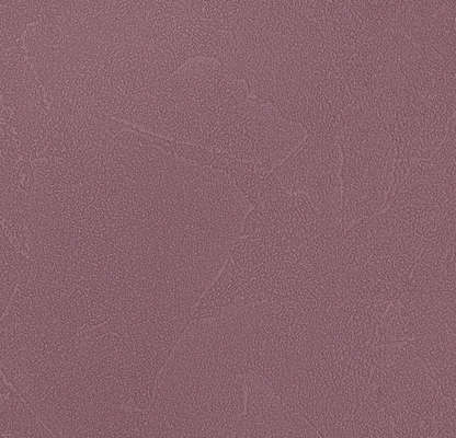 Andrea Rossi Spectrum Plus 54351-7