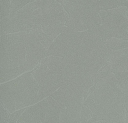 Andrea Rossi Spectrum Plus 54351-13