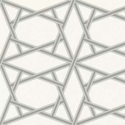 Architector Black&White ZN50400