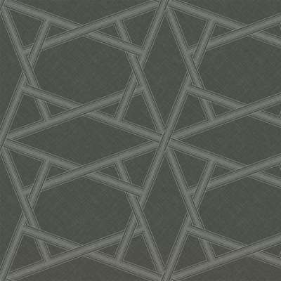 Architector Black&White ZN50403