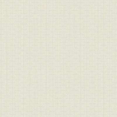 Architector Black&White ZN51810