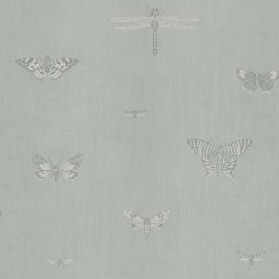 Architector Lipari LP00311