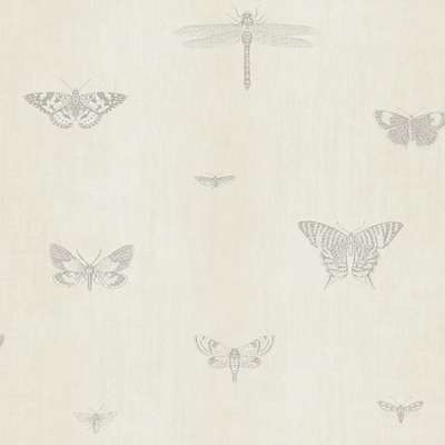 Architector Lipari LP00313