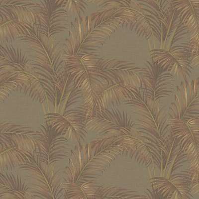 Architector Pavone PA01627