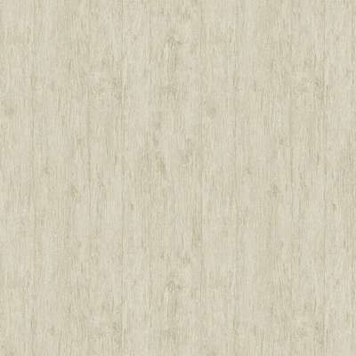 Architector Pavone PA01633