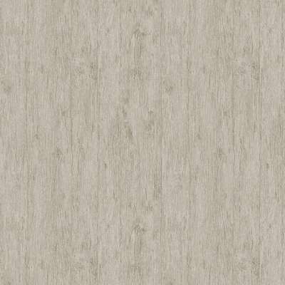 Architector Pavone PA01635