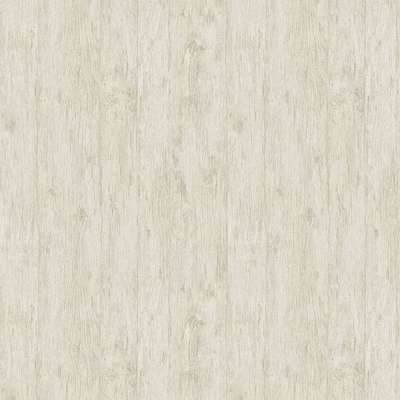 Architector Pavone PA01636