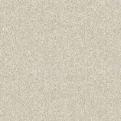 Architector Pavone PA01641