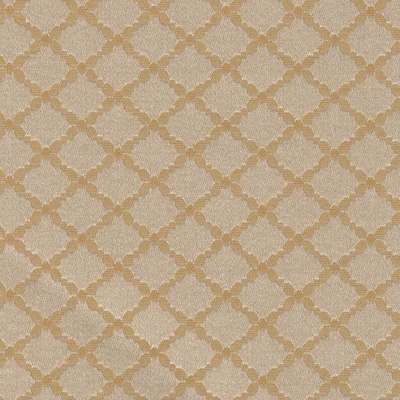 Arlin Elegance 25 EGN-A Arlin Elegance 25 EGN-A