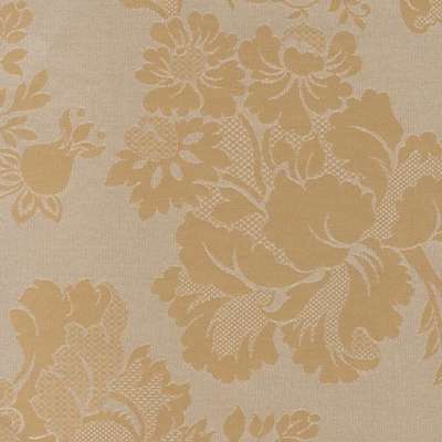 Arlin Elegance 25 EGN-F Arlin Elegance 25 EGN-F