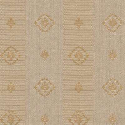 Arlin Elegance 25 EGN-R Arlin Elegance 25 EGN-R