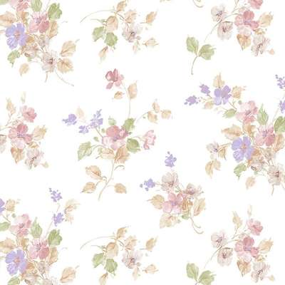 Aura Cute PF38104