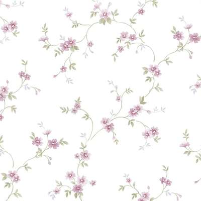 Aura Cute PF38148