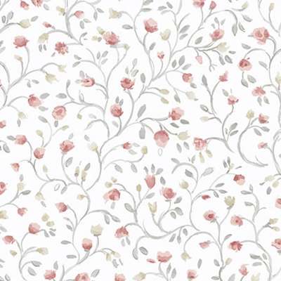 Aura Cute PF38155