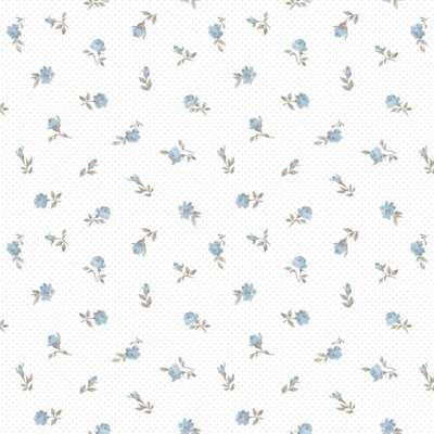Aura Pippo  455-1