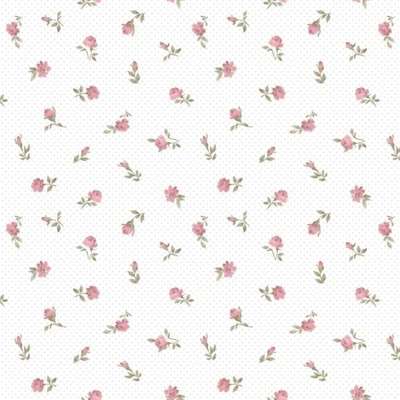 Aura Pippo  455-2