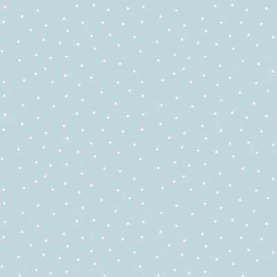 Aura Pippo  459-1