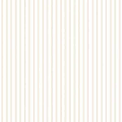 Aura Pippo  462-4
