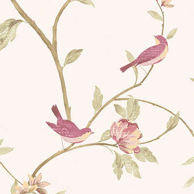 Aura Rose Garden  CG28803