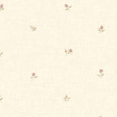 Aura Rose Garden  CG28854