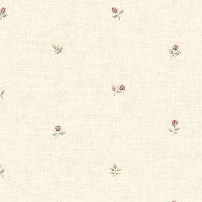 Aura Rose Garden  CG28855