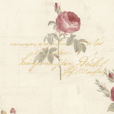 Aura Rose Garden  CG28860