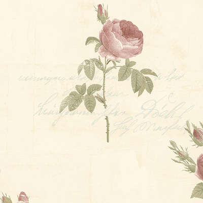 Aura Rose Garden  CG28861