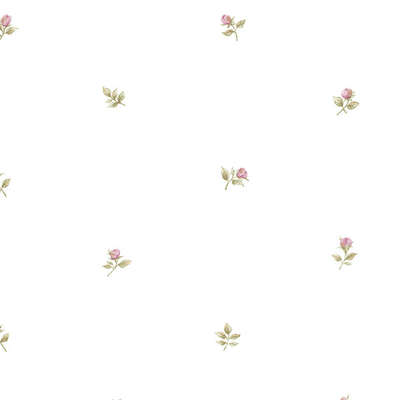 Aura Rose Garden  CG28872