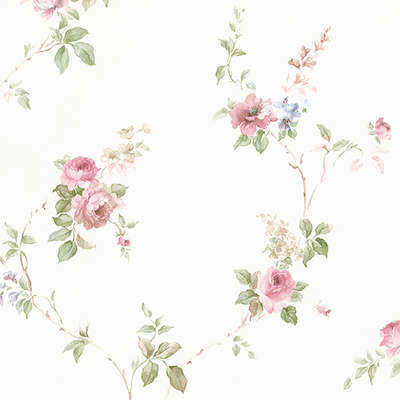 Aura Rose Garden  CN24621
