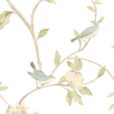 Aura Rose Garden  HM26326