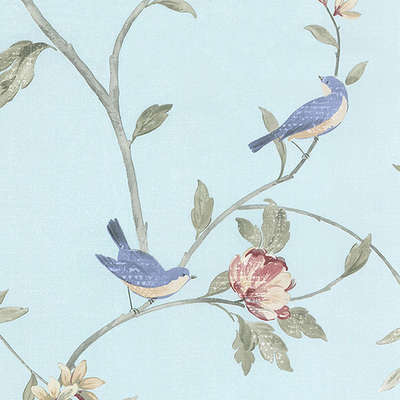 Aura Rose Garden  HM26329