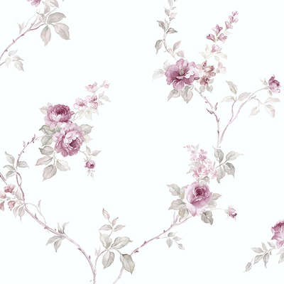 Aura Rose Garden  RG35716