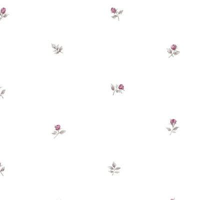 Aura Rose Garden  RG35720