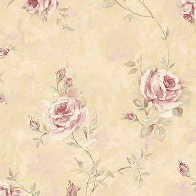 Aura Rose Garden  RG35739