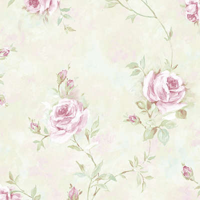 Aura Rose Garden  RG35740