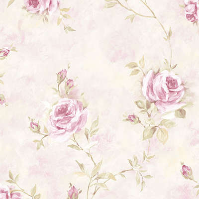 Aura Rose Garden  RG35741