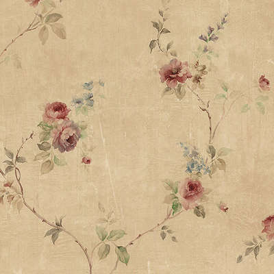 Aura Rose Garden  SP24431