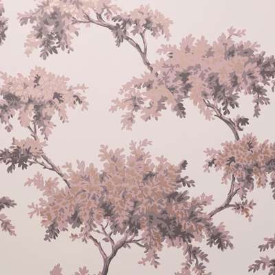 Aura Signature Archives Vol.1  M1670