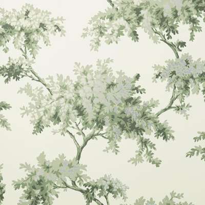 Aura Signature Archives Vol.1  M1674