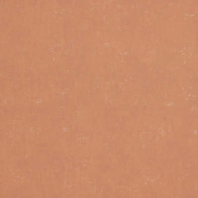 BN Indian Summer 218545
