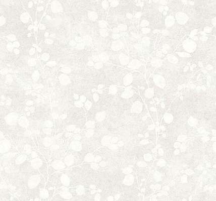 Collins&Company Jupiter TE10000