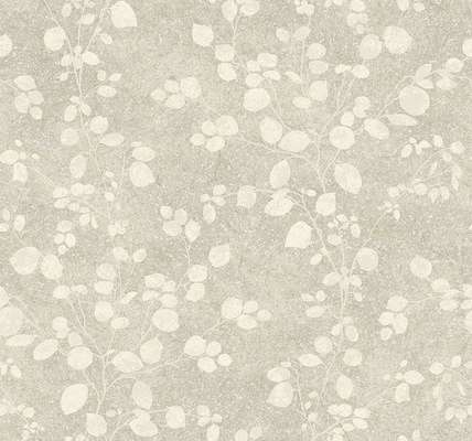 Collins&Company Jupiter TE10016