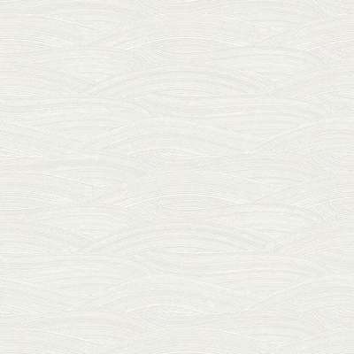 Collins&Company Jupiter TE10301