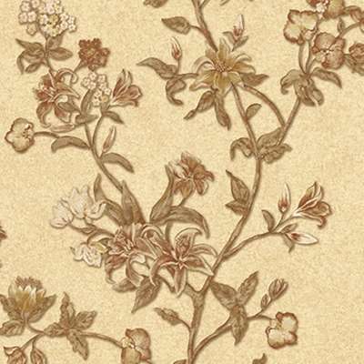 Gaenari Arete 81034-2